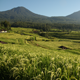 Bali Eco Tour